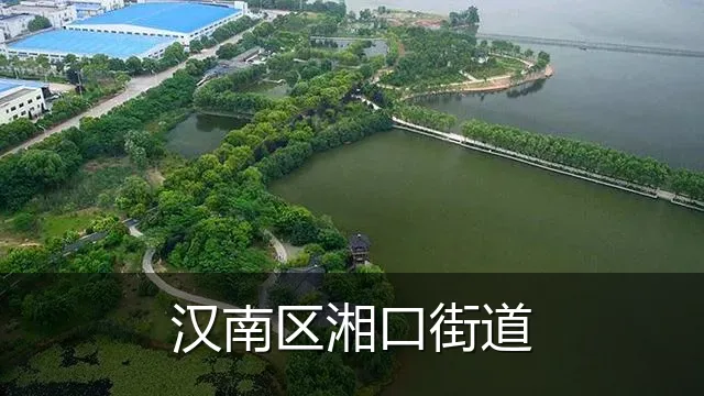 汉南区湘口街道